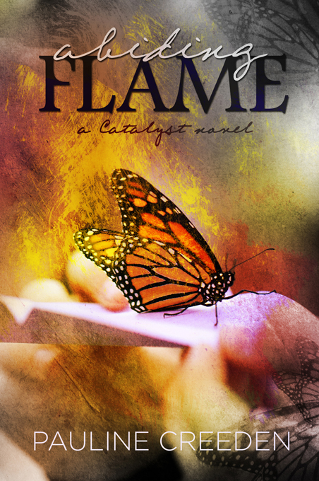 Abiding Flame: softcover